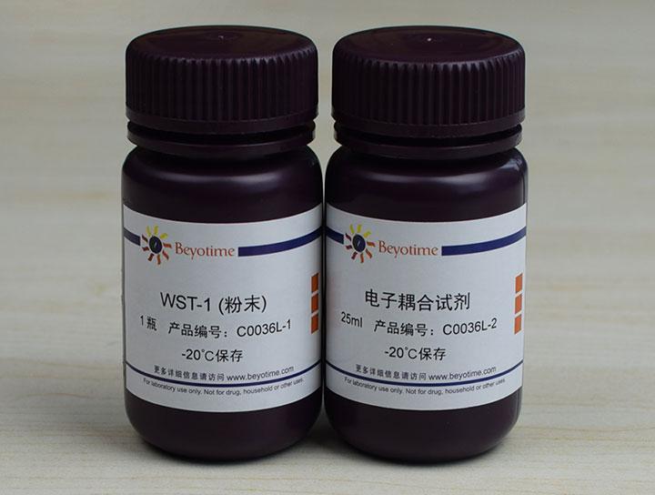 WST-1细胞增殖及细胞毒性检测试剂盒